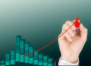 乐鱼官网-中国香港队赛制变化与挑战:如何提升团队的战略执行能力,香港队再添一枚金牌